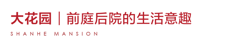 微信圖片_20260605134836_56_1208.png